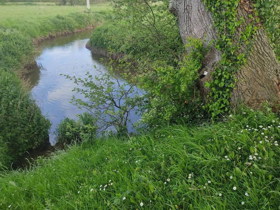 Appartamento Le Vulcain Le Hommet-d'Arthenay Esterno foto